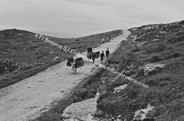 ATLANTIC DRIVE DONKEYS ON ROAD